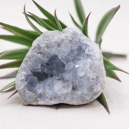 Celestine Geodes - Small - Brazilian Collection