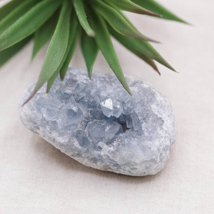 Celestine Geodes - Small - Brazilian Collection