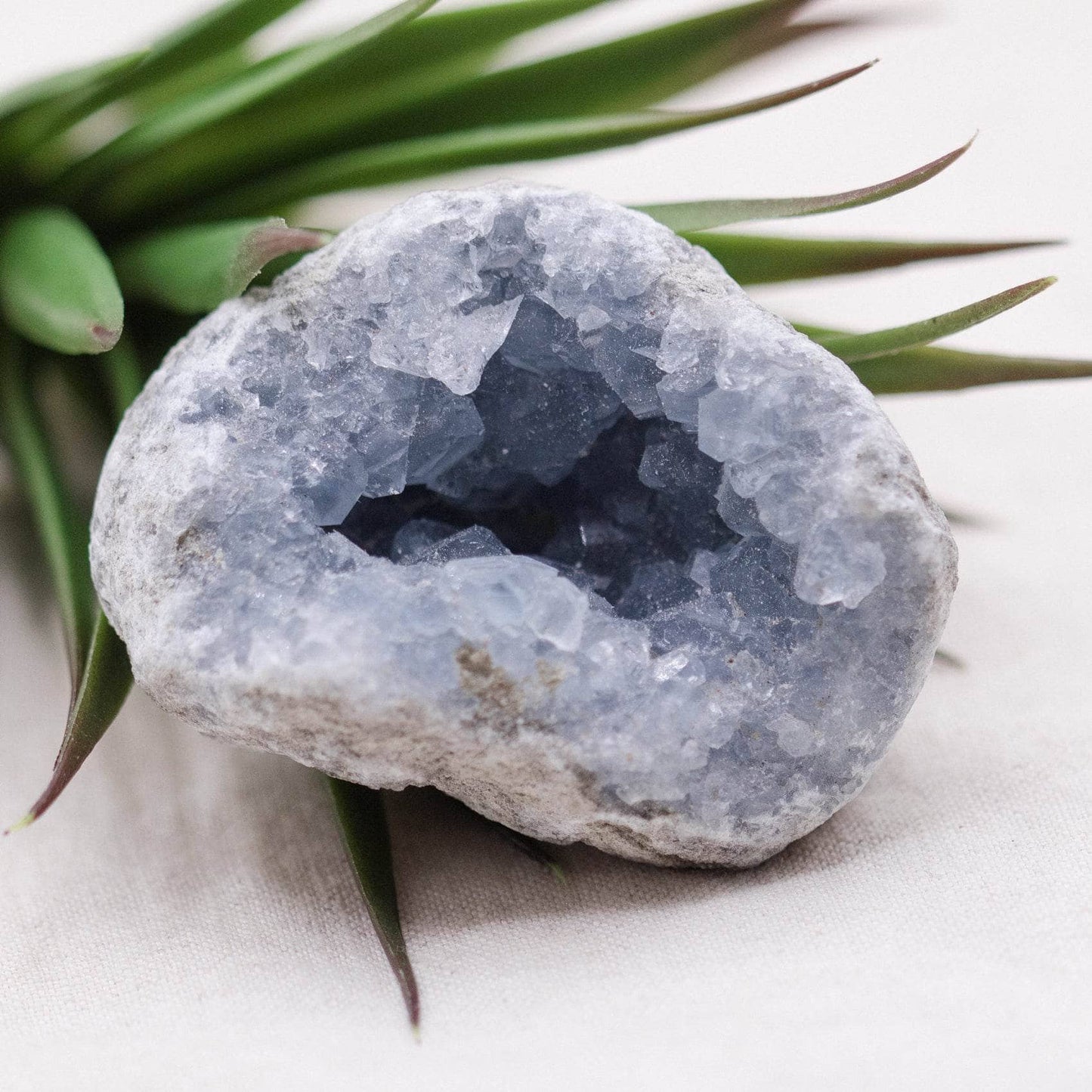 Celestine Geodes - Small - Brazilian Collection