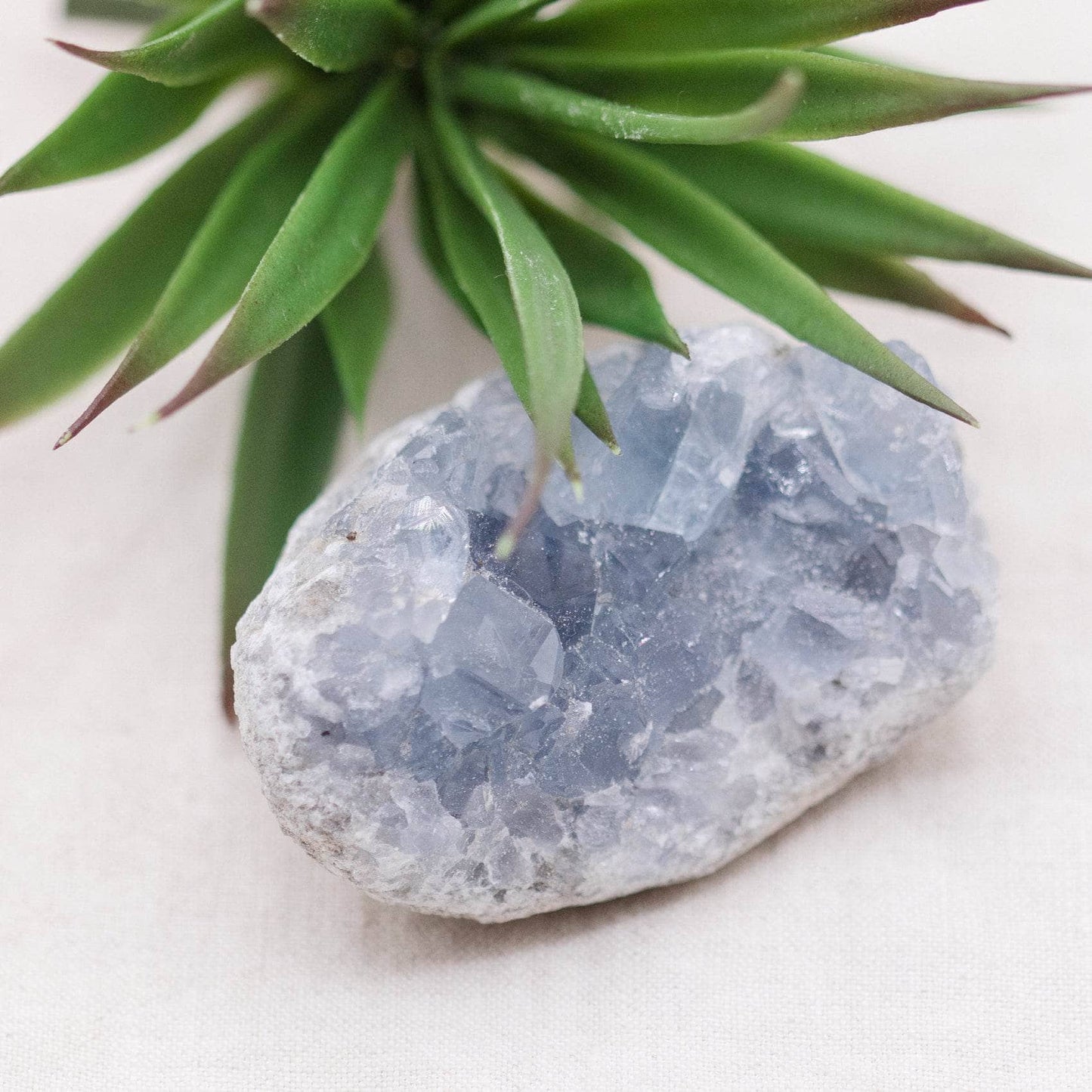 Celestine Geodes - Small - Brazilian Collection
