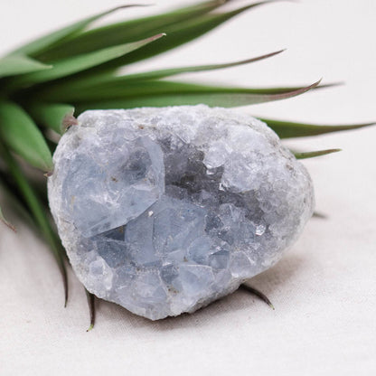 Celestine Geodes - Small - Brazilian Collection