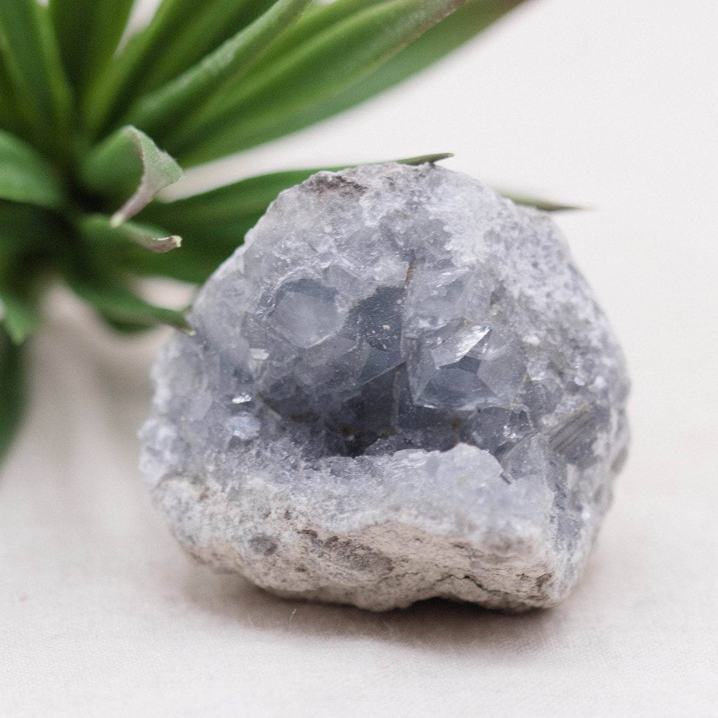 Celestine Geodes - Small - Brazilian Collection