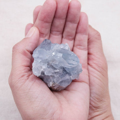 Celestine Geodes - Small - Brazilian Collection