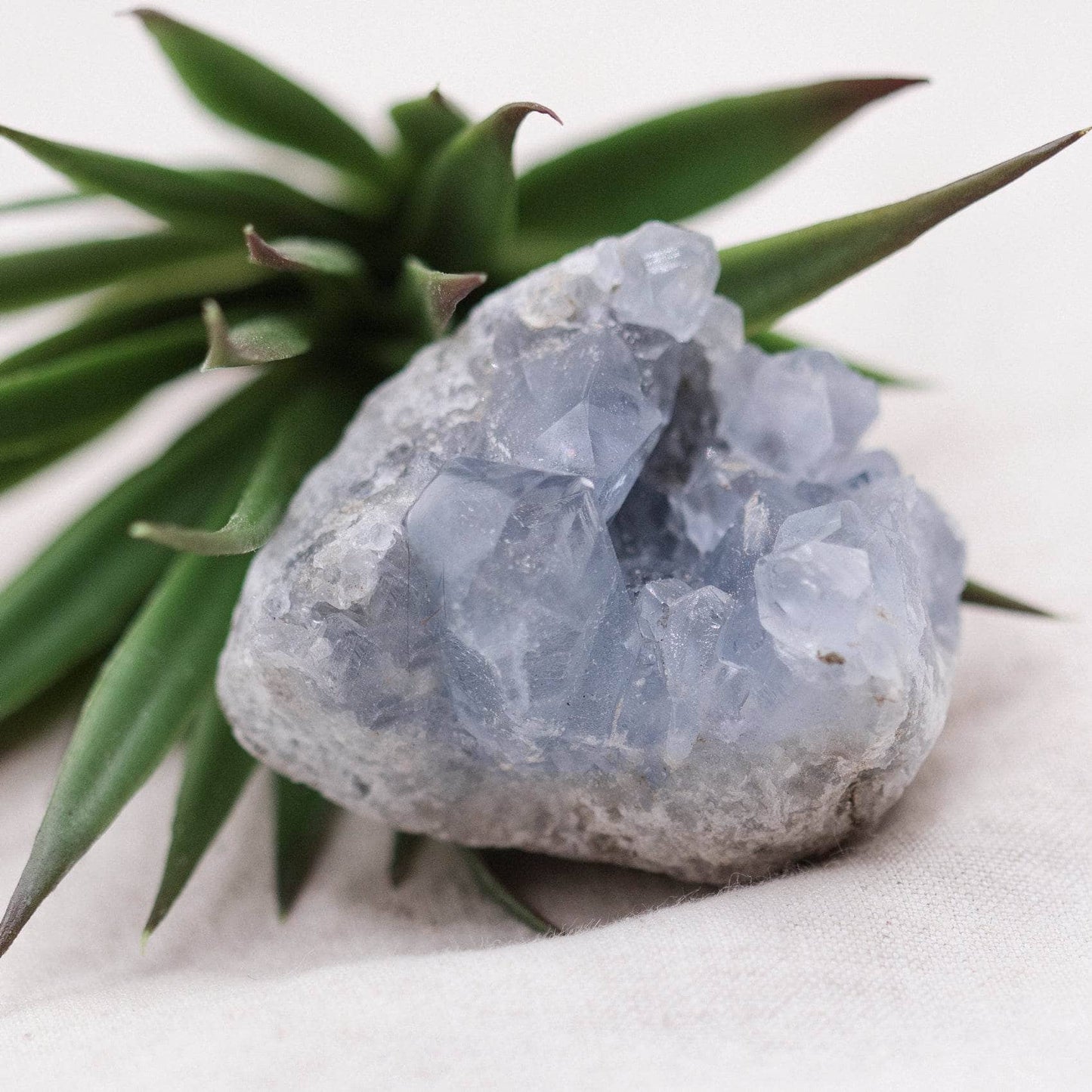 Celestine Geodes - Small - Brazilian Collection