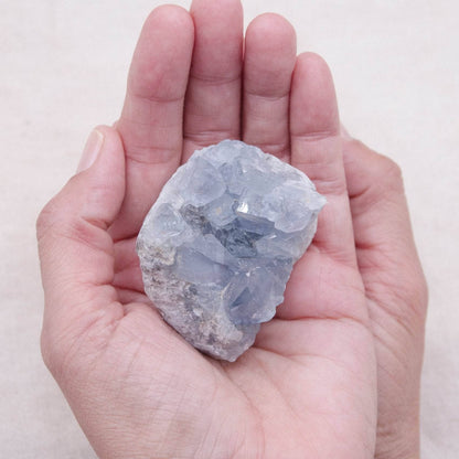 Celestine Geodes - Small - Brazilian Collection