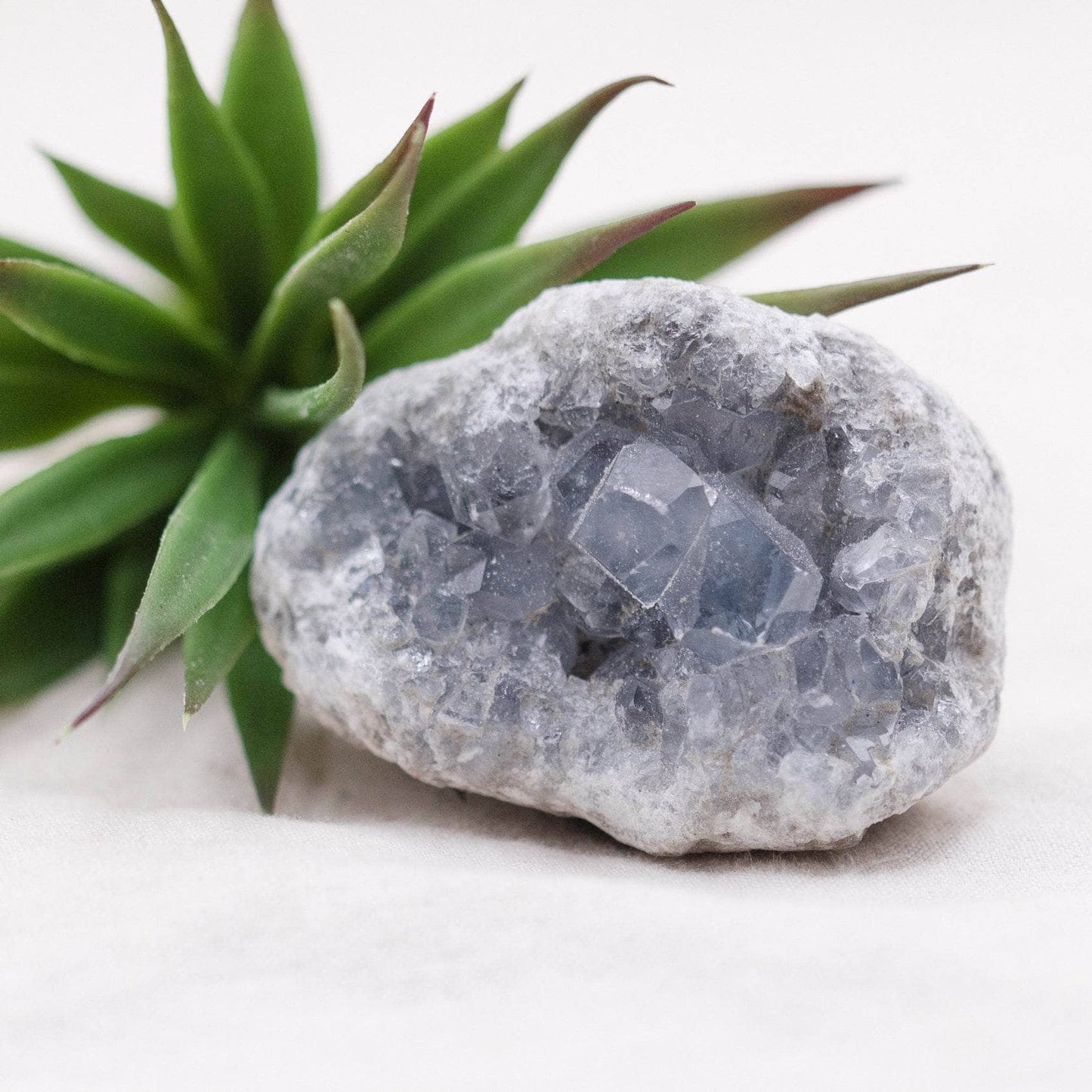 Celestine Geodes - Small - Brazilian Collection