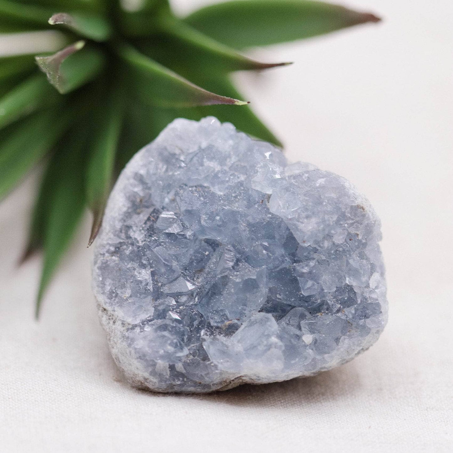 Celestine Geodes - Small - Brazilian Collection