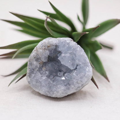 Celestine Geodes - Small - Brazilian Collection