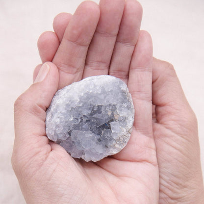 Celestine Geodes - Small - Brazilian Collection