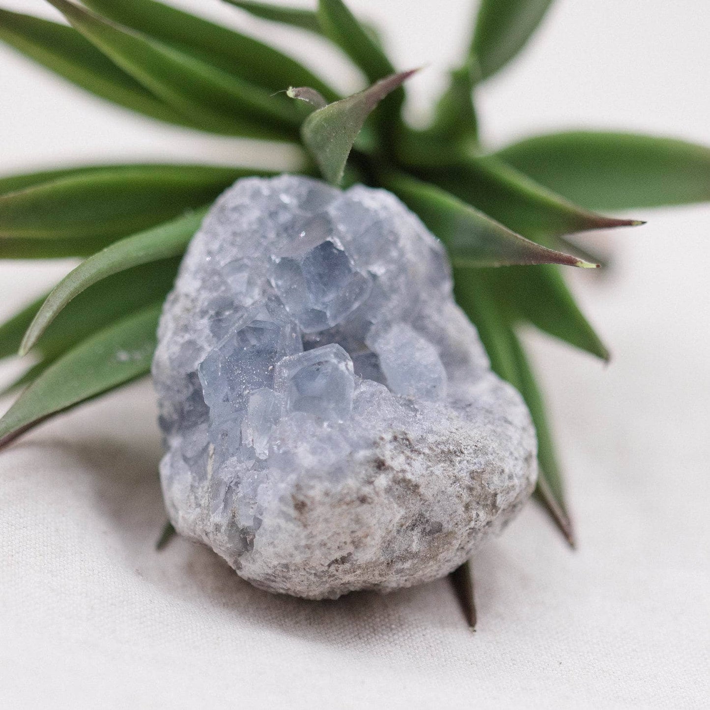 Celestine Geodes - Small - Brazilian Collection