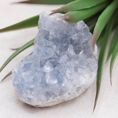 Celestine Geodes - Small - Brazilian Collection