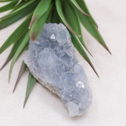 Celestine Geodes - Small - Brazilian Collection