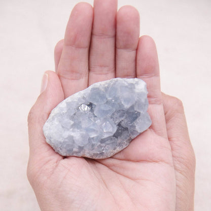 Celestine Geodes - Small - Brazilian Collection