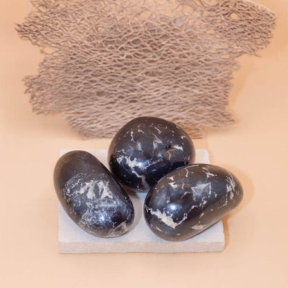 Rare Covellite Palm Stones - AAA Premium Quality
