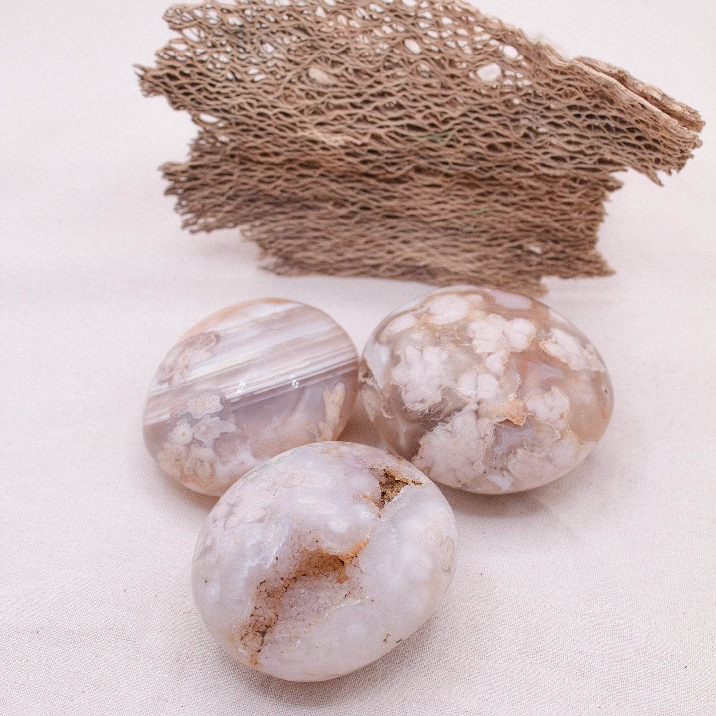 Natural Flower Agate Palm Stones - AAA Premium Quality