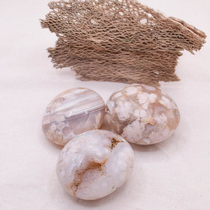 Natural Flower Agate Palm Stones - AAA Premium Quality