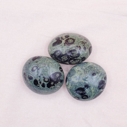 Kambaba Jasper Palm Stones - AAA Premium Quality
