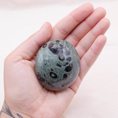 Kambaba Jasper Palm Stones - AAA Premium Quality