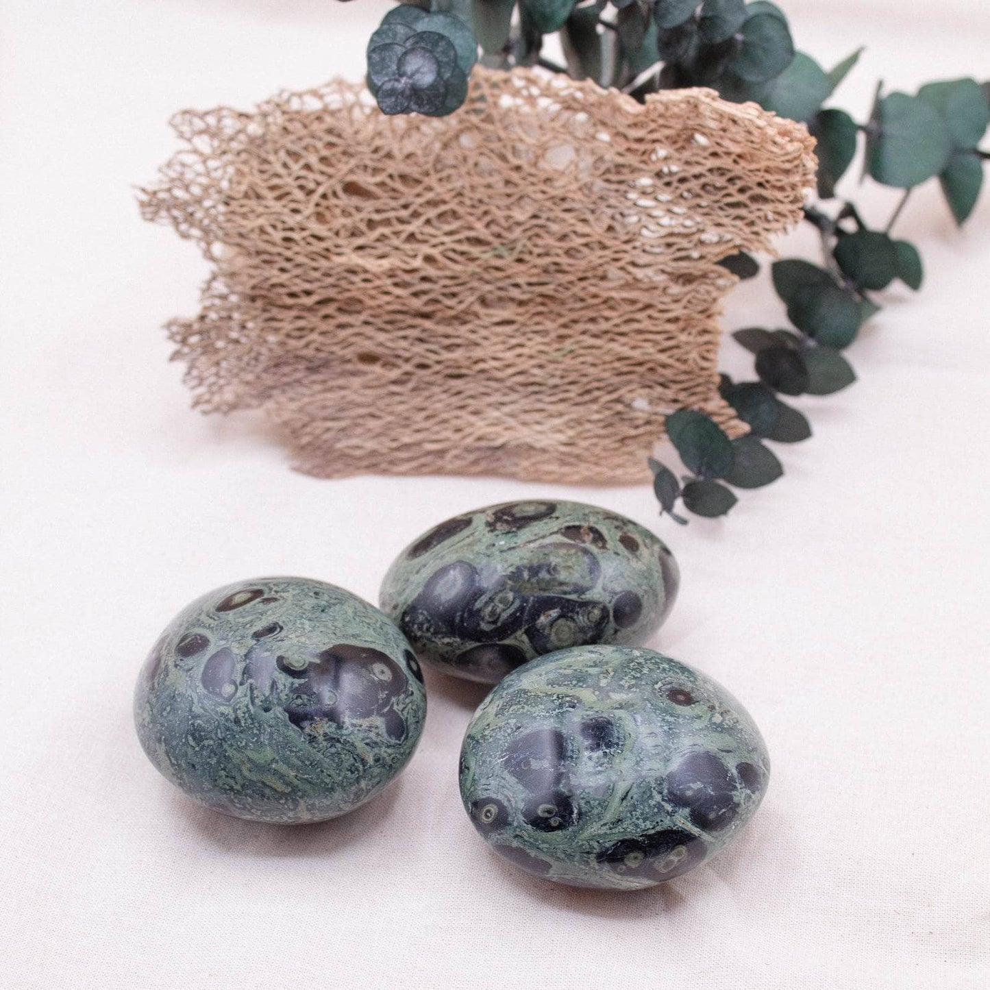 Kambaba Jasper Palm Stones - AAA Premium Quality