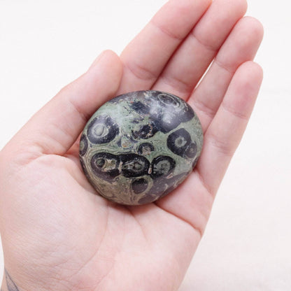 Kambaba Jasper Palm Stones - AAA Premium Quality
