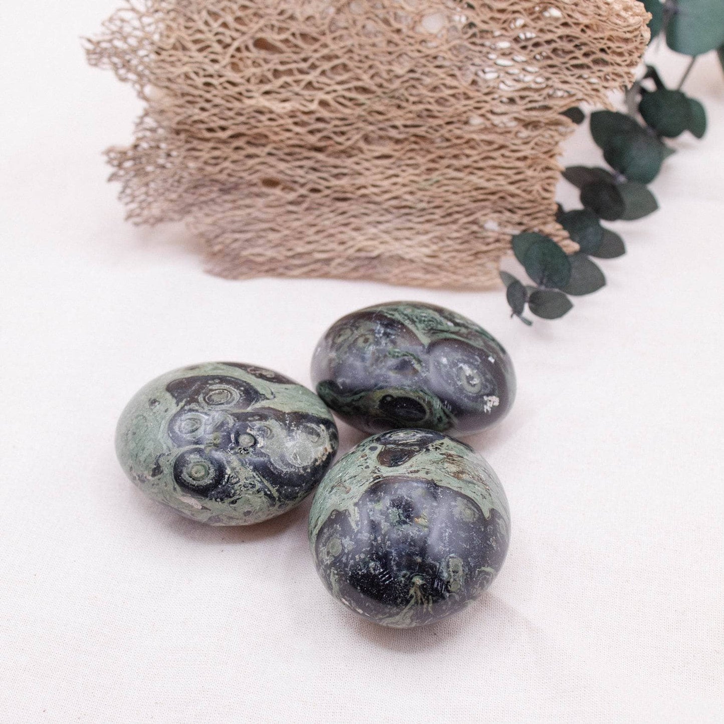 Kambaba Jasper Palm Stones - AAA Premium Quality