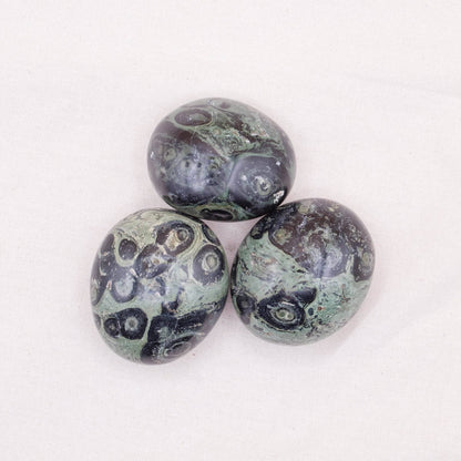 Kambaba Jasper Palm Stones - AAA Premium Quality
