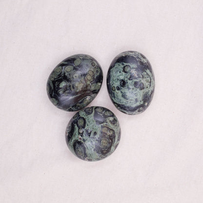 Kambaba Jasper Palm Stones - AAA Premium Quality
