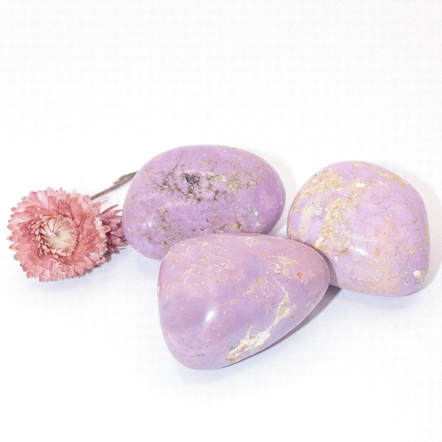 Rare Phosphosiderite Palm Stones - AAA Premium Quality