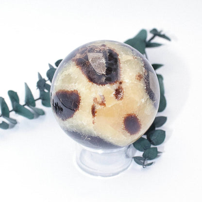 Black Septarian Sphere - AAA Premium Quality