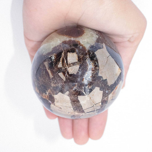 Black Septarian Sphere - AAA Premium Quality