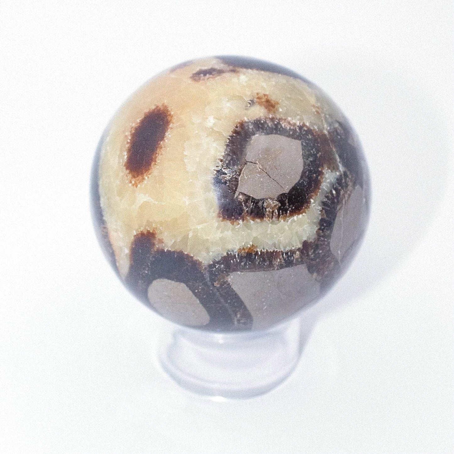 Black Septarian Sphere - AAA Premium Quality