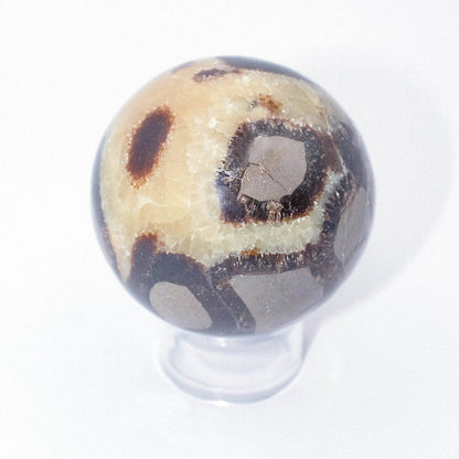 Black Septarian Sphere - AAA Premium Quality