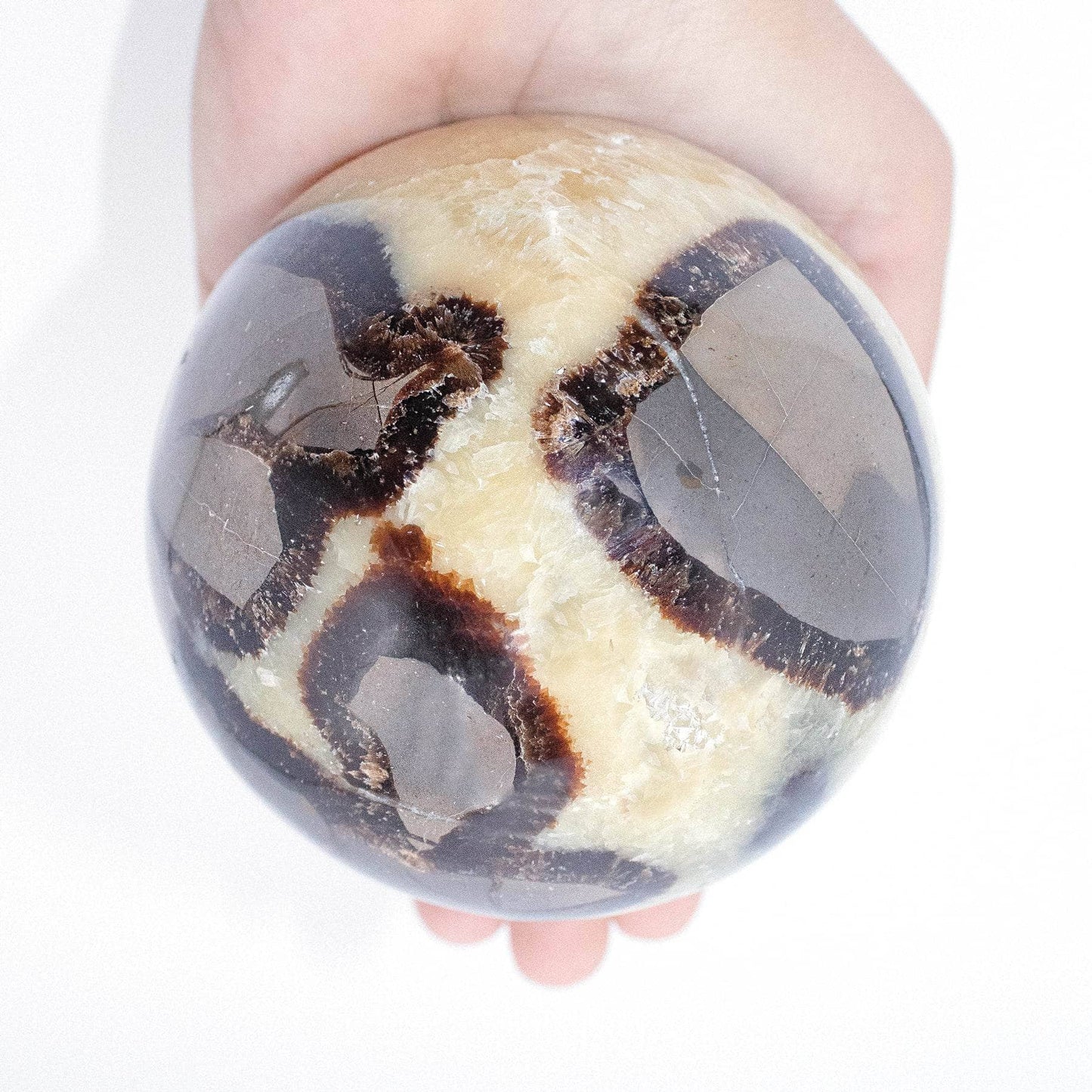 Black Septarian Sphere - AAA Premium Quality