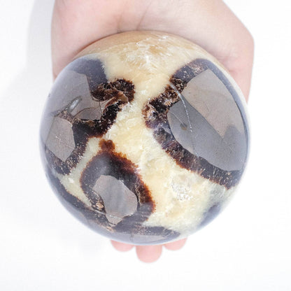 Black Septarian Sphere - AAA Premium Quality