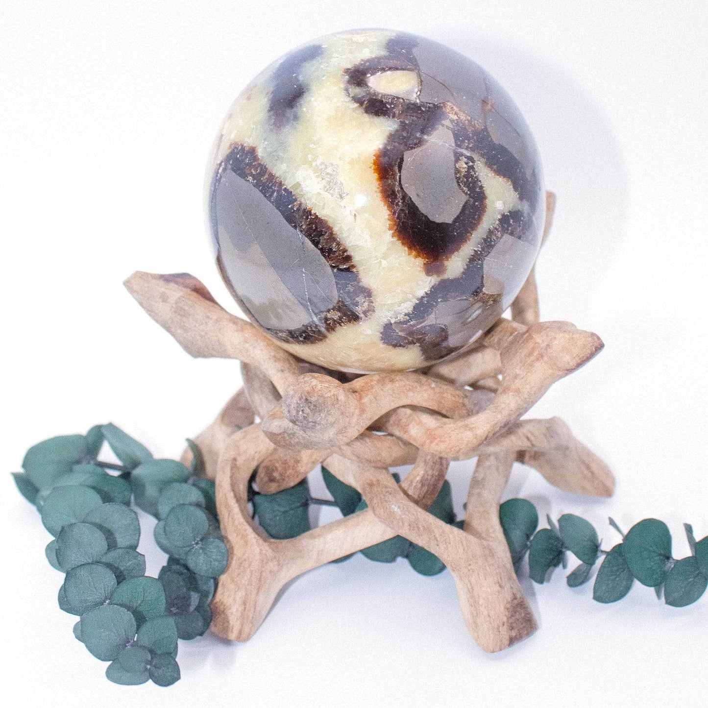 Black Septarian Sphere - AAA Premium Quality
