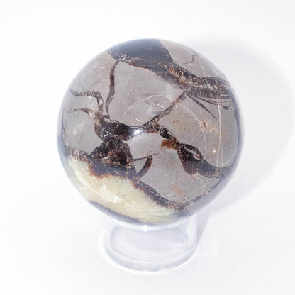 Black Septarian Sphere - AAA Premium Quality