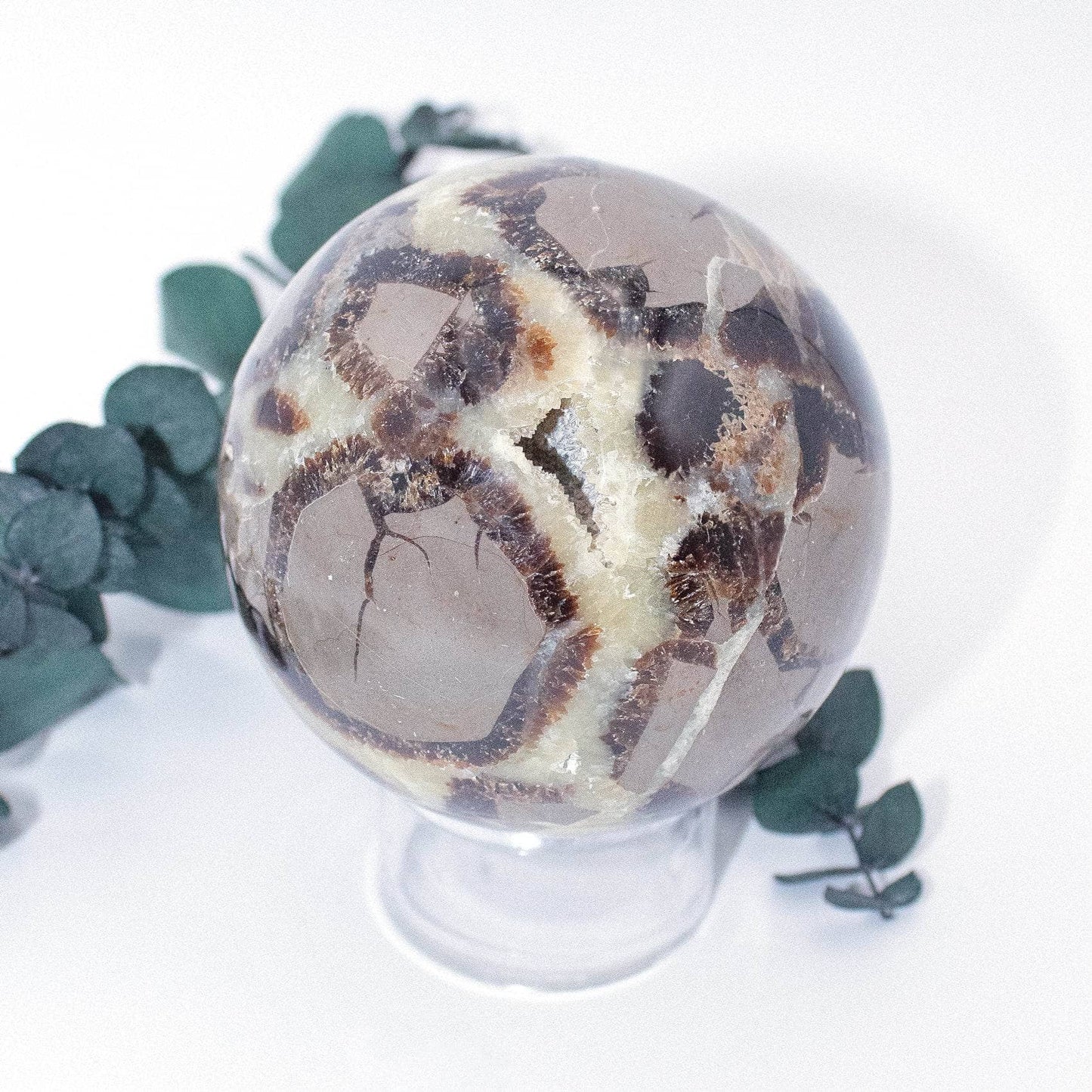 Black Septarian Sphere - AAA Premium Quality