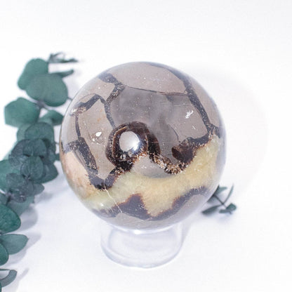 Black Septarian Sphere - AAA Premium Quality