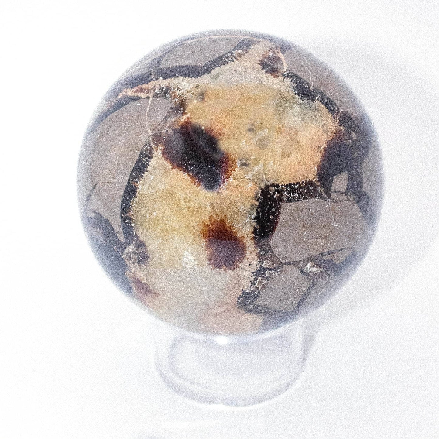 Black Septarian Sphere - AAA Premium Quality