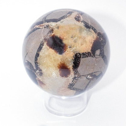 Black Septarian Sphere - AAA Premium Quality