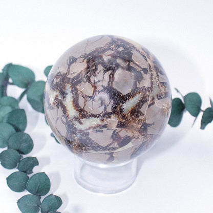 Black Septarian Sphere - AAA Premium Quality