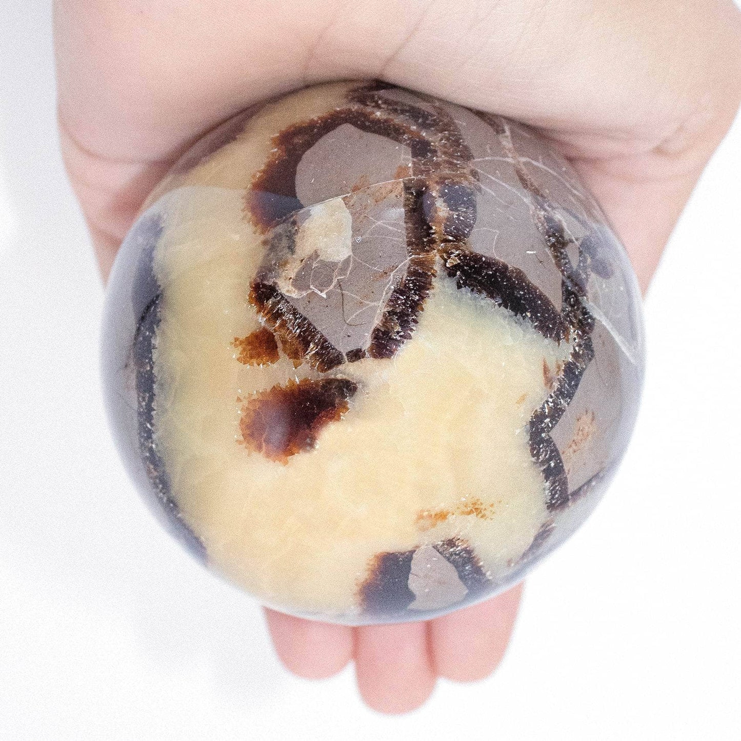 Black Septarian Sphere - AAA Premium Quality