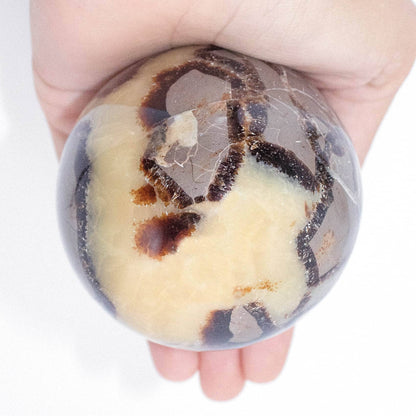 Black Septarian Sphere - AAA Premium Quality