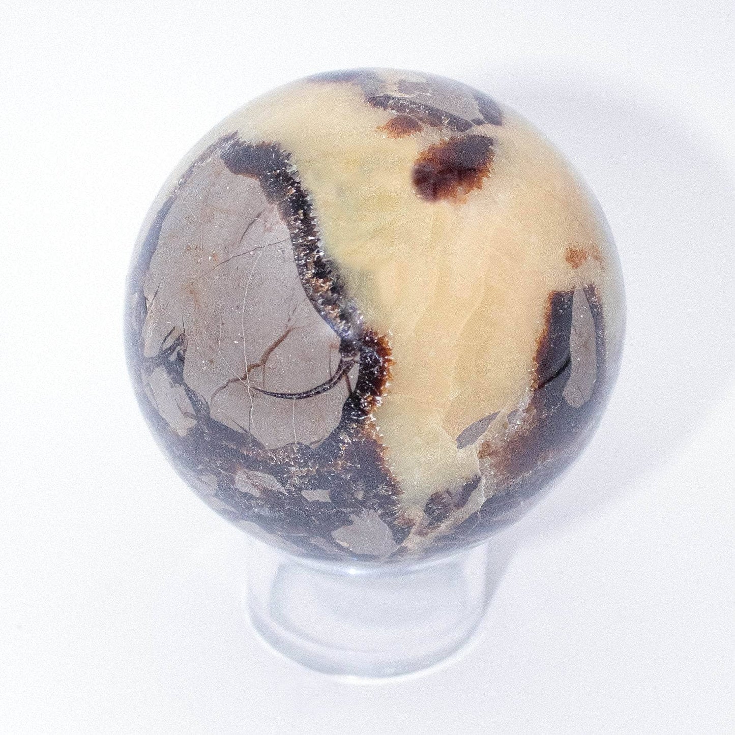 Black Septarian Sphere - AAA Premium Quality