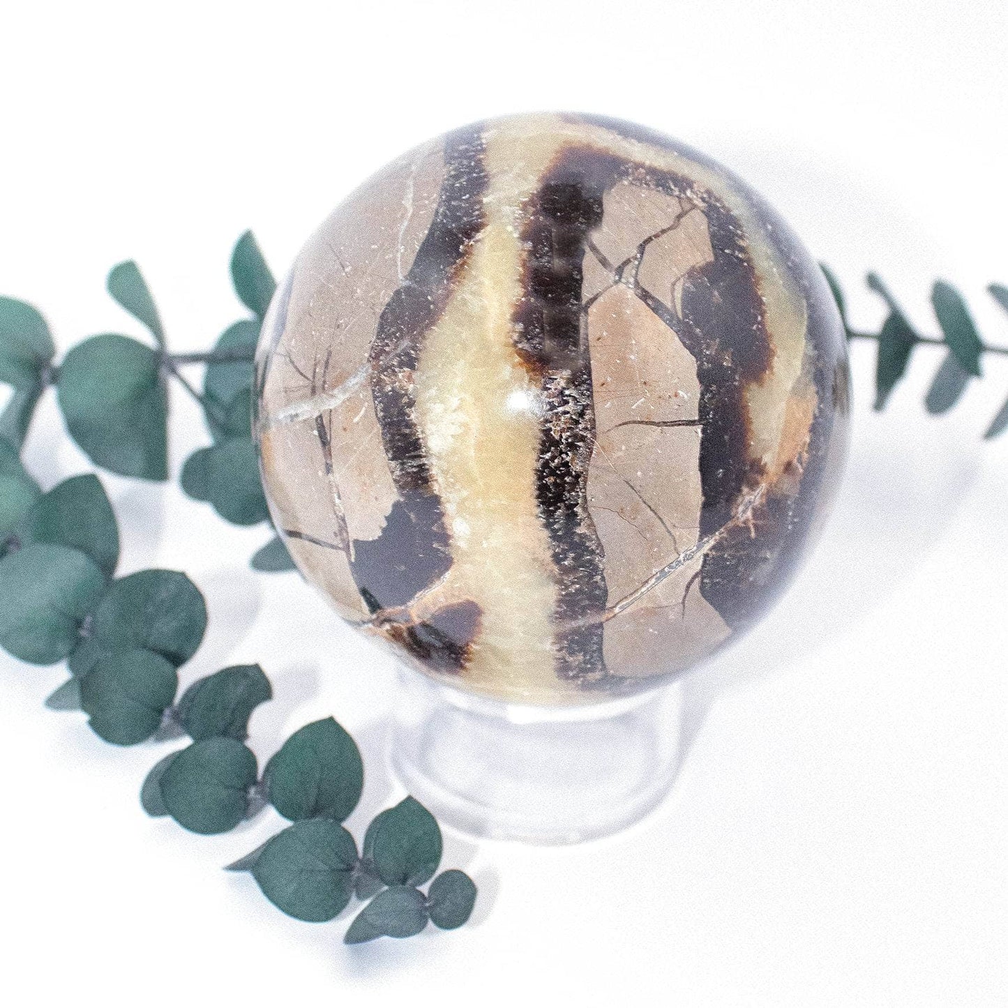 Black Septarian Sphere - AAA Premium Quality