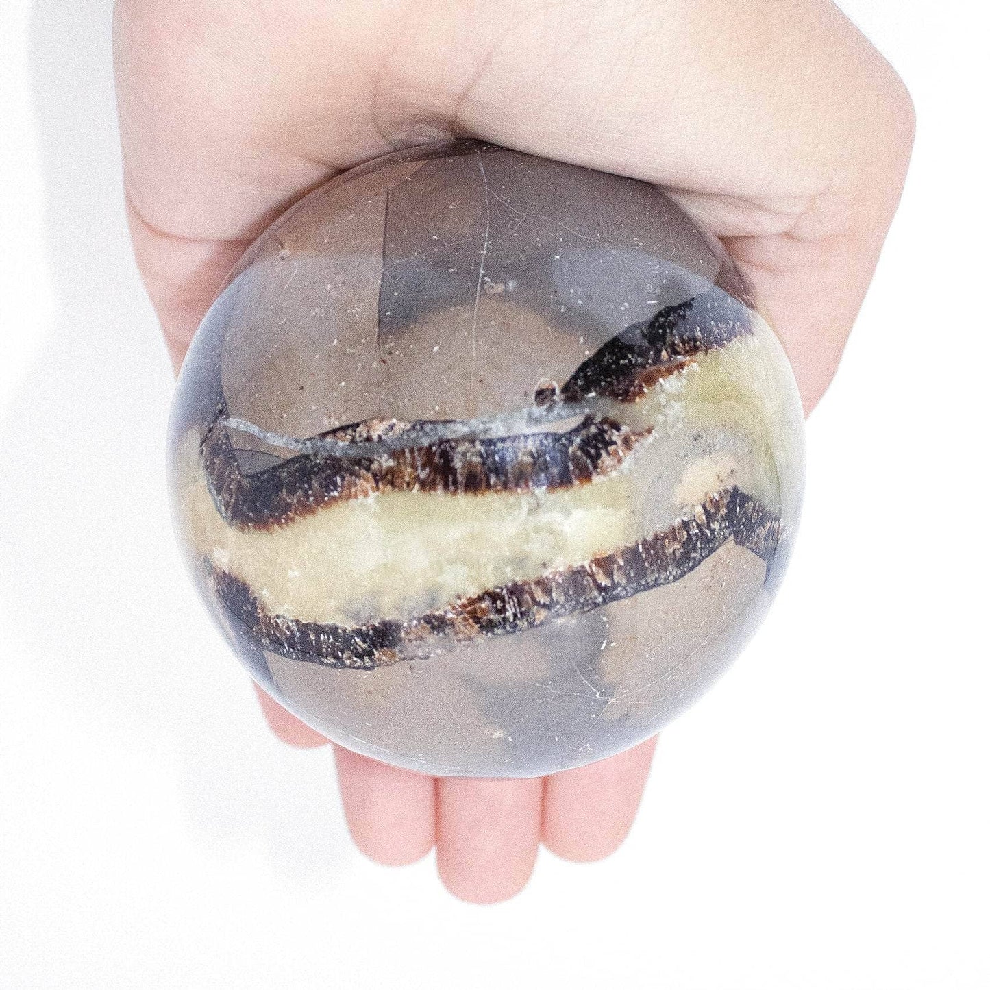 Black Septarian Sphere - AAA Premium Quality