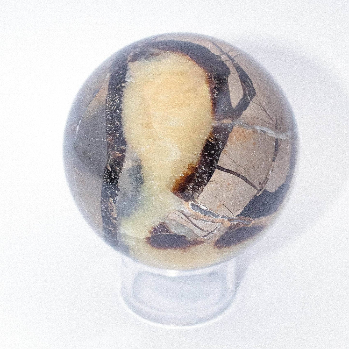 Black Septarian Sphere - AAA Premium Quality