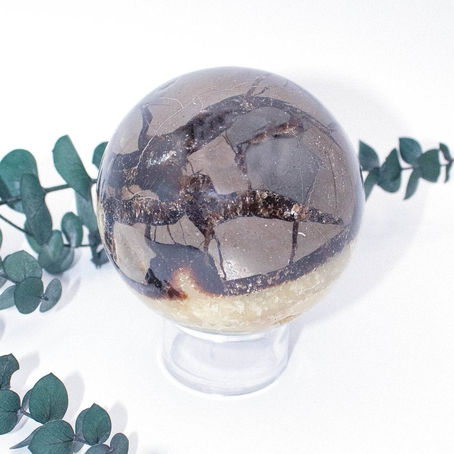 Black Septarian Sphere - AAA Premium Quality