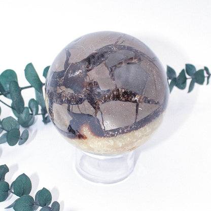 Black Septarian Sphere - AAA Premium Quality