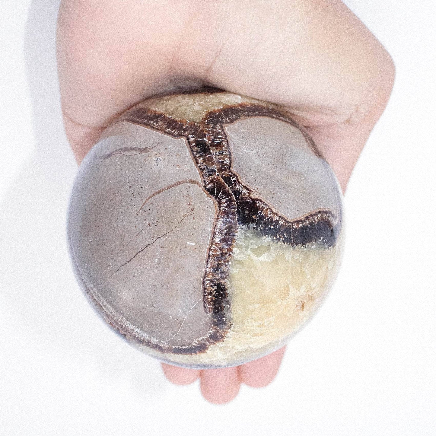Black Septarian Sphere - AAA Premium Quality